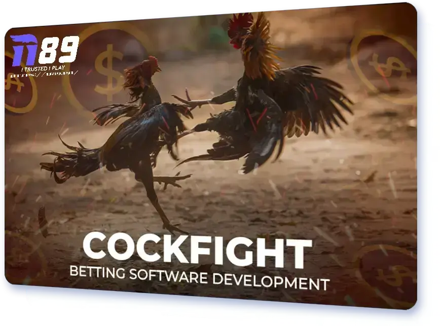 cockfighting ii89 casino card