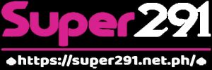 super291 logo partner ii89